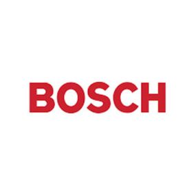 BOSCHOK.jpg