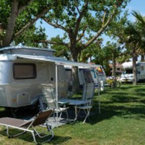 camping-las-palmeras-pitch-04.jpg