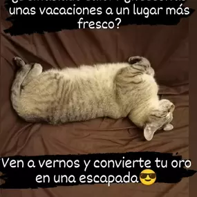 221098015-1-DAVDXqcCGd1689160482372.jpeg
