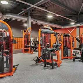 Bild von Basic-Fit 24/7