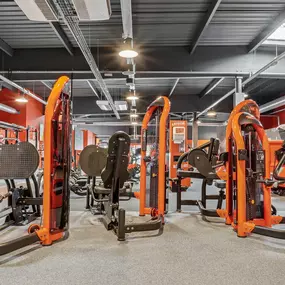 Bild von Basic-Fit 24/7