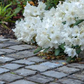 Bild von Wittwer Blumen Gartenbau AG