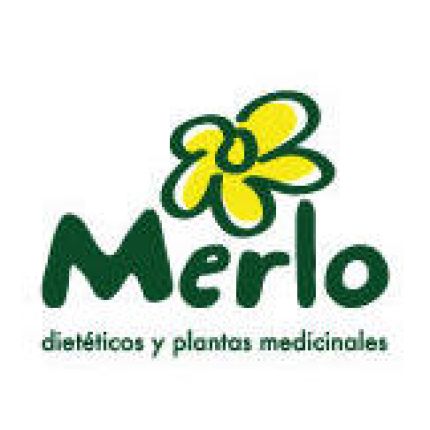Logo fra Merlo Y Torrente S.L.