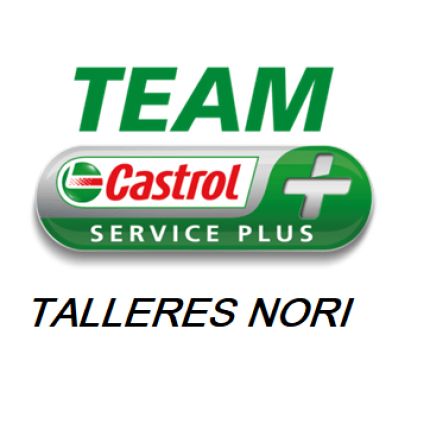 Logo from Talleres Nori