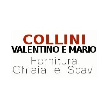 Logo de Collini Valentino E Mario