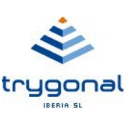 Logo da Trygonal Iberia