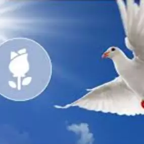 img4.png
