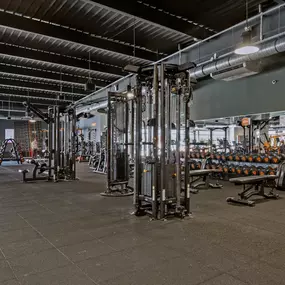 Bild von Basic-Fit 24/7