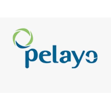 Logotipo de Seguros Pelayo