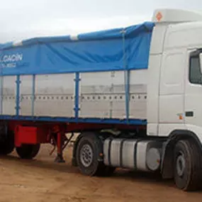 transportes-guadalcacin-camion-02.jpg