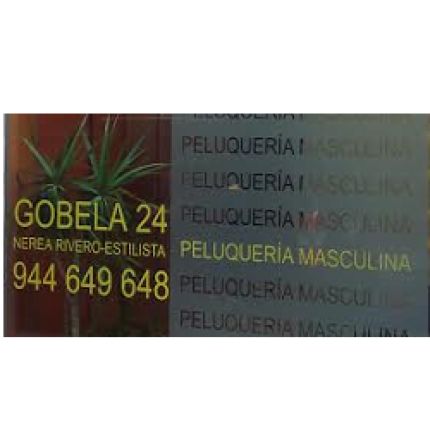 Logo de Gobela 24