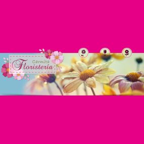 617823-carmita-floristeria-banner.jpg