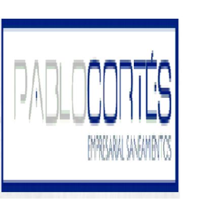 Logo von PABLO CORTÉS EMPRESARIAL SANEAMIENTOS