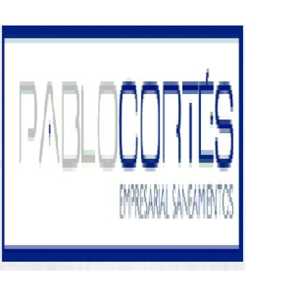 Λογότυπο από Pablo Cortés Empresarial Saneamientos