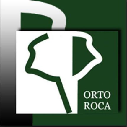 Logotyp från Orto Roca