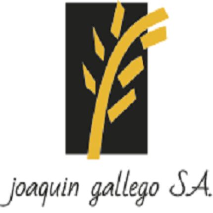Logo von Joaquín Gallego S.A.