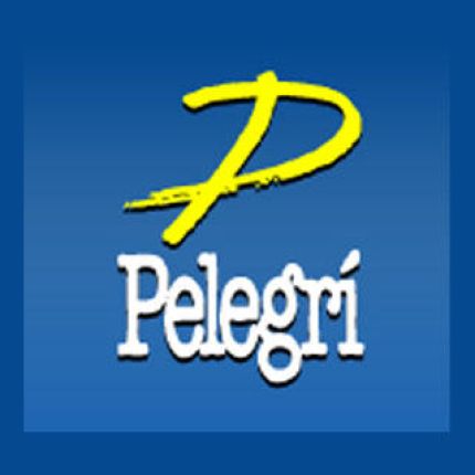 Λογότυπο από Electricitat Industrial Pelegrí S.L.