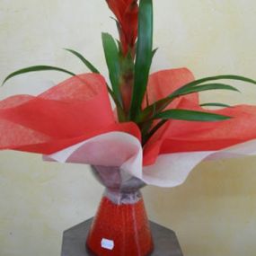 arreglo-bromelia-03.jpg