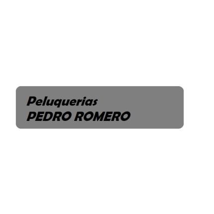 Logotipo de PELUQUERÍAS PEDRO ROMERO - SEÑORA Y CABALLERO