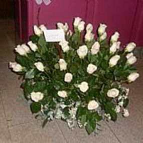 rosas-blancas-05.jpg