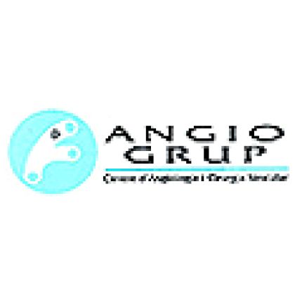 Logotyp från Angiogrup