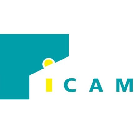 Logo da Icam S.L.