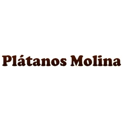 Logo de Plátanos Molina
