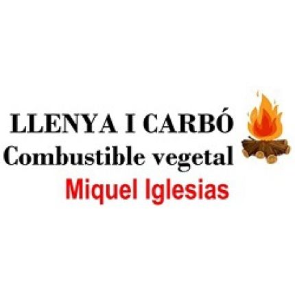 Logo von Llenya I Carbó Ullá