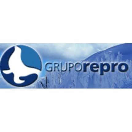 Logo da Grupo Repro