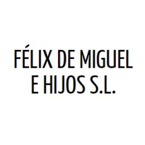 logo_Felix_de_Miguel.jpg
