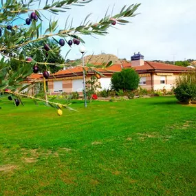 residencia-tercera-edad-la-sabina-fachada-01.jpg