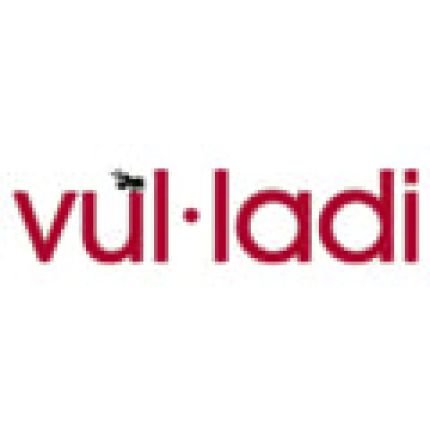 Logo from Vulcanizados Ladi - VULLADI