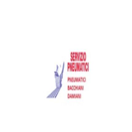 Logo fra Servizio Pneumatici s.r.l.