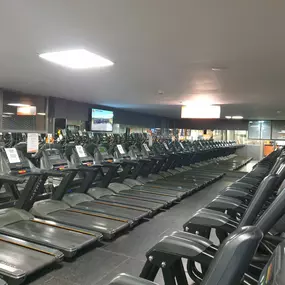 Zona de entrenamiento cardiovascular