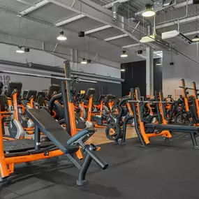 Bild von Basic-Fit 24/7