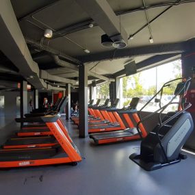 Zona de entrenamiento cardiovascular de la primera planta