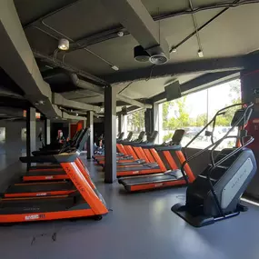 Zona de entrenamiento cardiovascular de la primera planta