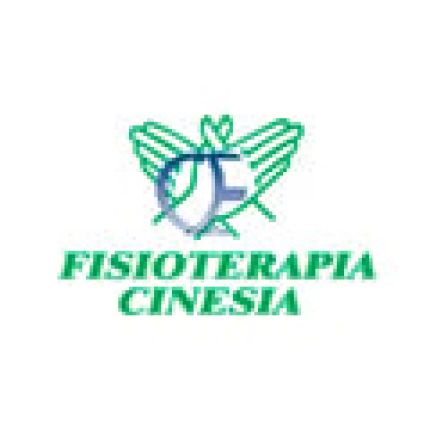 Logotyp från Fisioterapia Cinesia