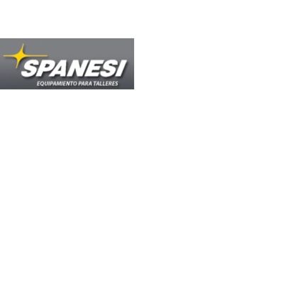 Logo de Spanesi Levante