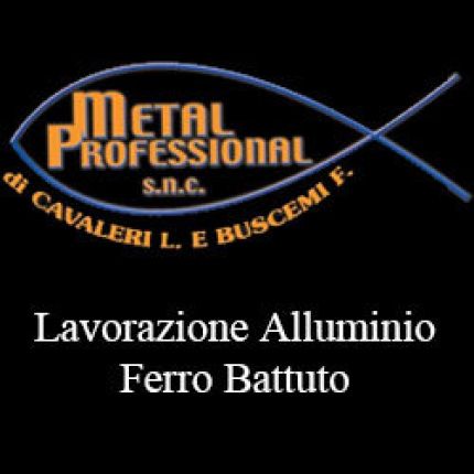Logo van Metal Professional