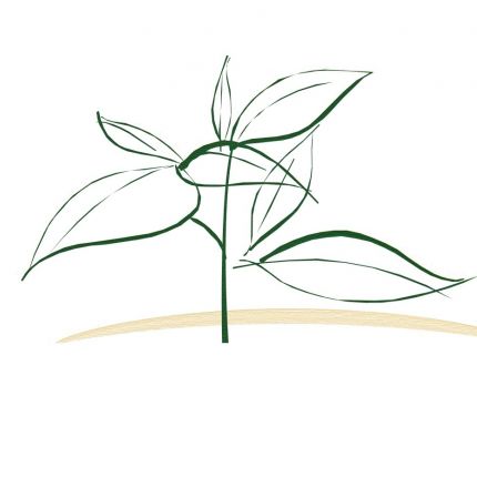 Λογότυπο από Naturheilpraxis