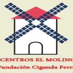logo_colegio_el_molino.png