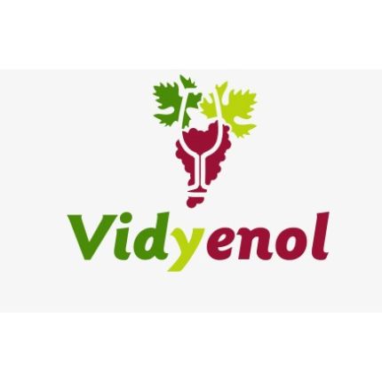 Logo van Vidyenol S.l.