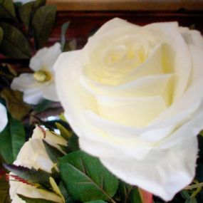 diaz-floristas-rosas-blancas-03.jpg