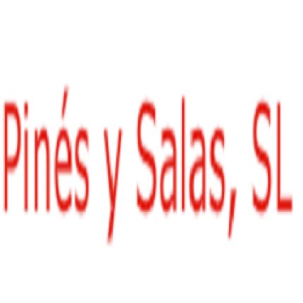 Logo van Construcciones Pines y Salas S.L