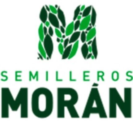 Logo od SEMILLEROS MORÁN
