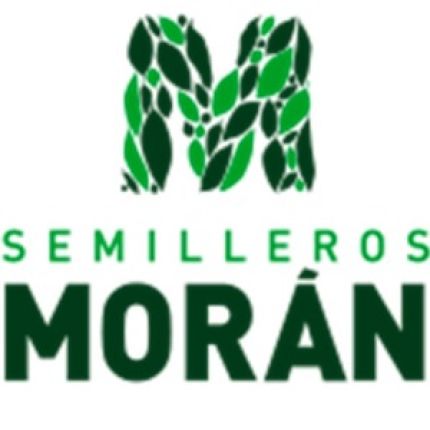 Logótipo de Semilleros Morán