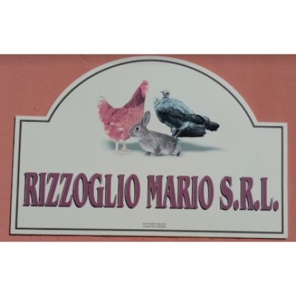 Logo van Rizzoglio Mario