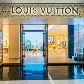 Bild von Louis Vuitton Houston Men's