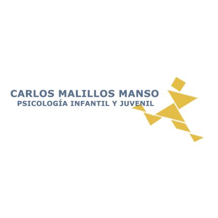 Logo from Psicólogo Infantil Valladolid